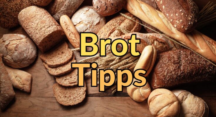Brot Tipps