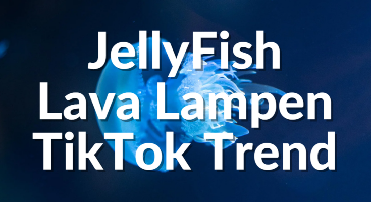JellyFish Lava Lampe